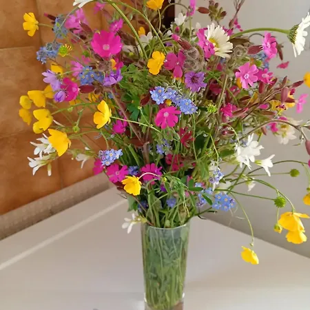 Maison Charmante A Avec Jardin Prive. Holiday home *